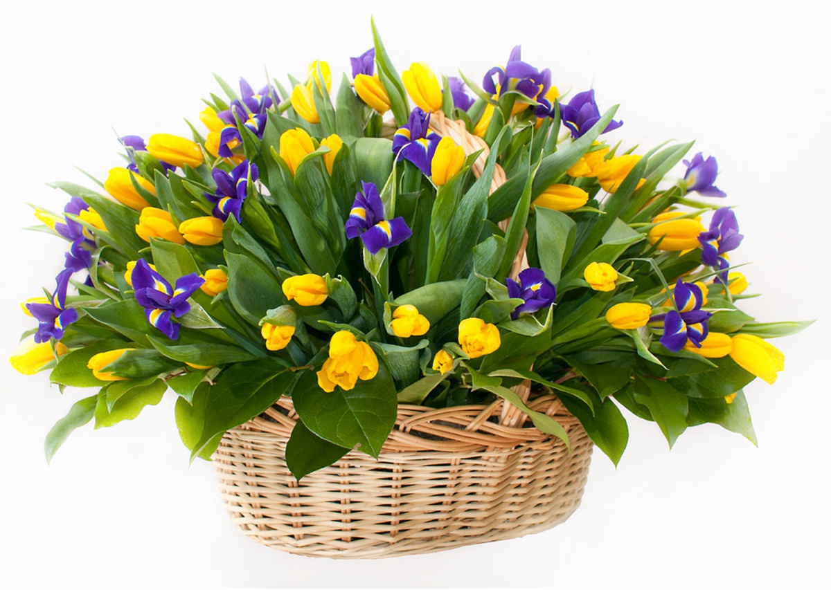 Весенний букет для женщины. Цветы тюльпаны с ирисами. Весенний букет тюльпаны и ирисы. Букет желтые тюльпаны и ирисы. Весенний букет ирисы нарциссы тюльпаны.